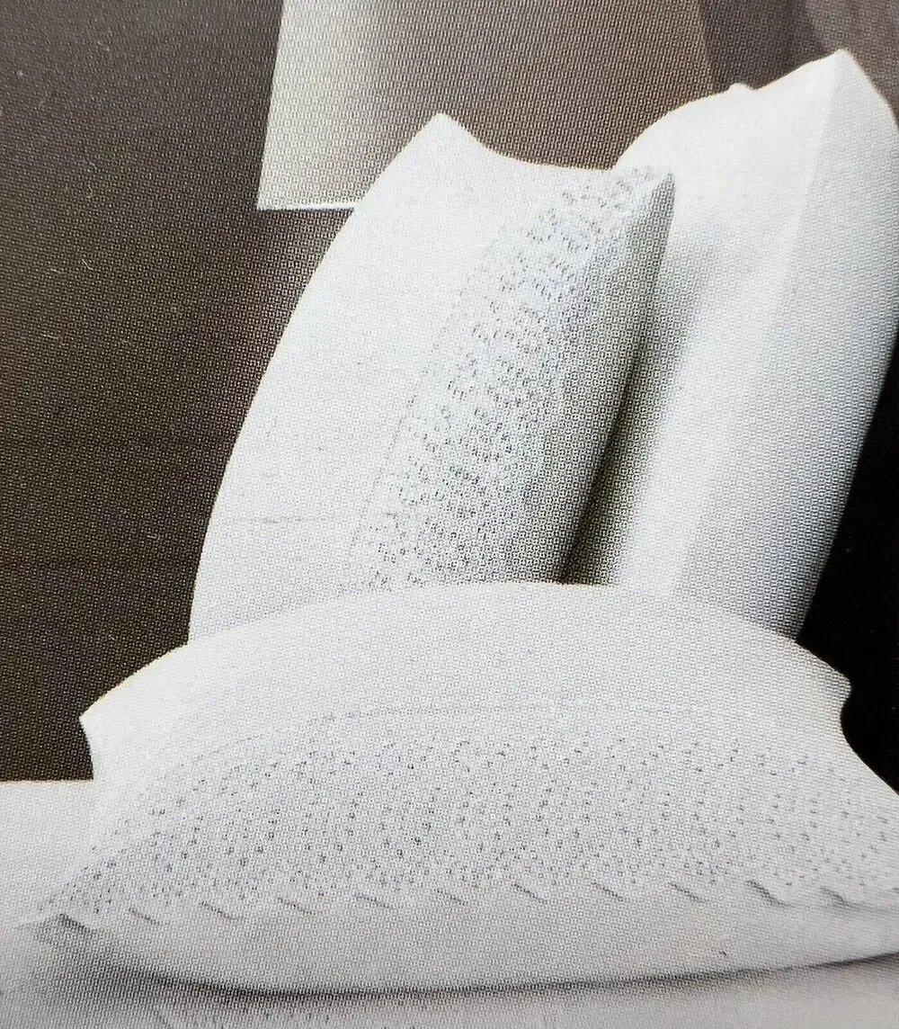 Rachel Ashwell Embroidered Eyelet Hem Standard PILLOWCASES White 100% Cotton NIP